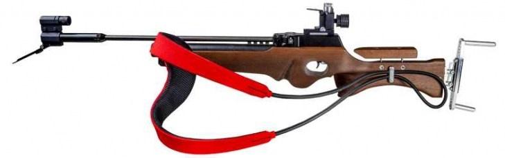 Electronic Biathlon rifles, targets and range system,